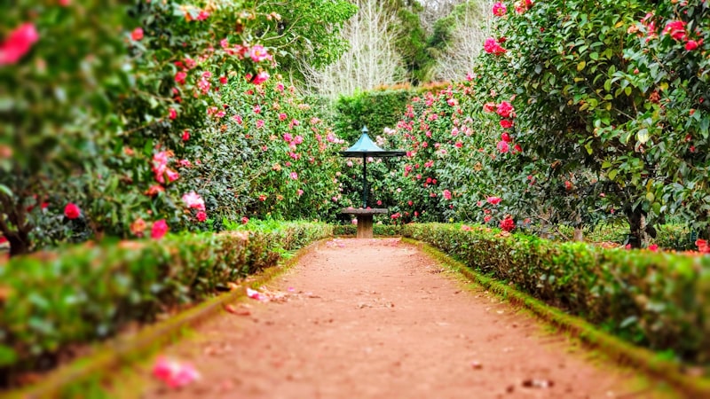 Garden and Outdoors